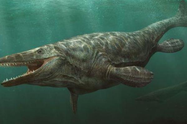 �������Ͳ�����ʲô���� ������vs�����ĸ�����˭ǿһЩ