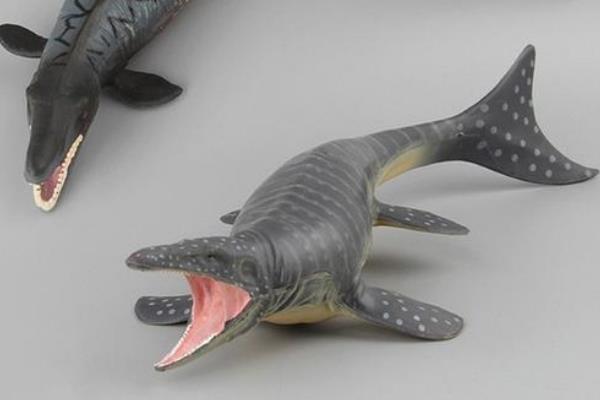 �������Ͳ�����ʲô���� ������vs�����ĸ�����˭ǿһЩ