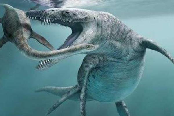 �������Ͳ�����ʲô���� ������vs�����ĸ�����˭ǿһЩ