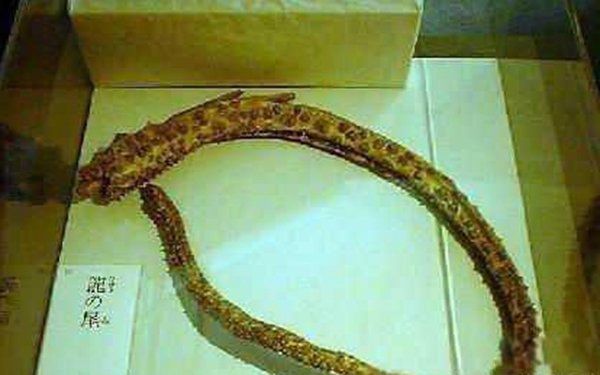 昆仑山真龙事件真相 飞机上拍到真龙照片