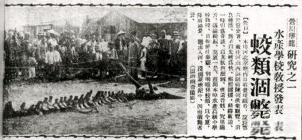 昆仑山真龙事件真相 飞机上拍到真龙照片