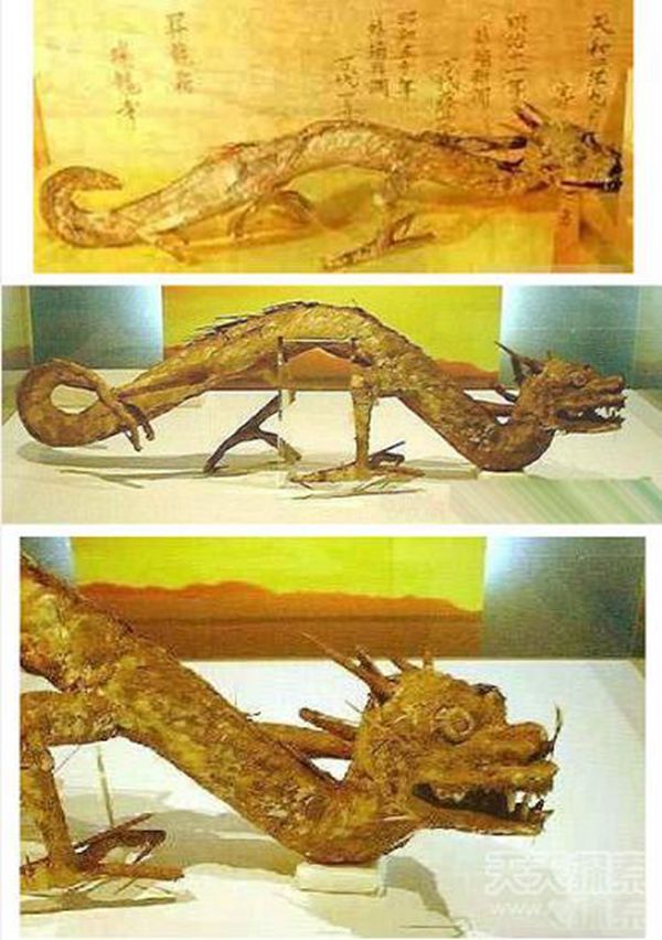 昆仑山真龙事件真相 飞机上拍到真龙照片