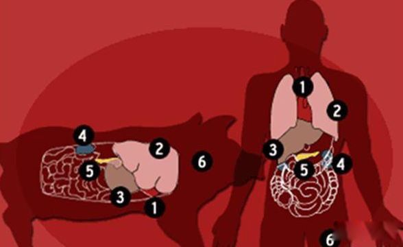 ����Ľ����۱��Ʒ���֤�� ��������ô���ĵ��״Ӻζ���