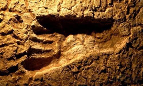 ����Ľ����۱��Ʒ���֤�� ��������ô���ĵ��״Ӻζ���