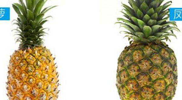 凤梨和菠萝哪个贵 凤梨和菠萝是一种水果吗