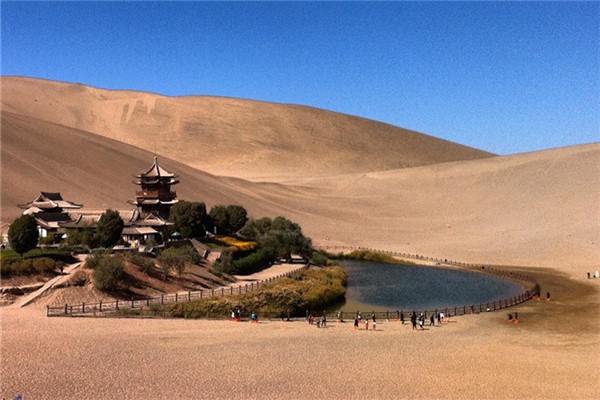 ��������λ�������������� ��������������