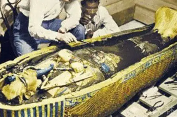 ����������ľ������ʵͼƬ �Ű�����ֲ��Ĺ���ͼƬ