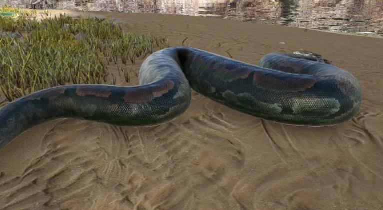 ���������������ж��೤ �ﵽһ��15����ʲô����