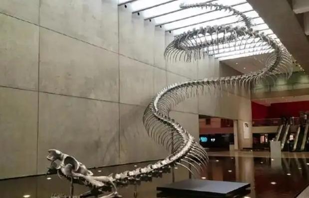 ���������������ж��೤ �ﵽһ��15����ʲô����