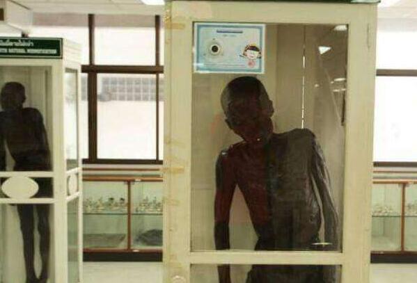 ̩��ϸΰ��ʬϸΰ����ʵ���� �������ǲ��Ǳ�ԩ����