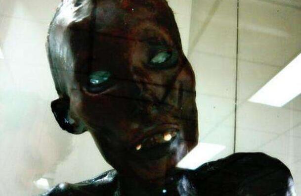 ̩��ϸΰ��ʬϸΰ����ʵ���� �������ǲ��Ǳ�ԩ����