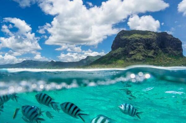 ��������������Ĵ��� �ϴ���Ϊ����������