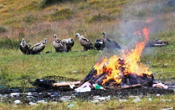 ʲô������ ������ɥ����ʵ��Ƶ��¼Ƭ����