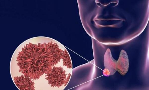 ��״�ٰ������� �����ʼ���Ϊ��,�����ѺõĶ�������