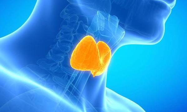 ��״�ٰ������� �����ʼ���Ϊ��,�����ѺõĶ�������