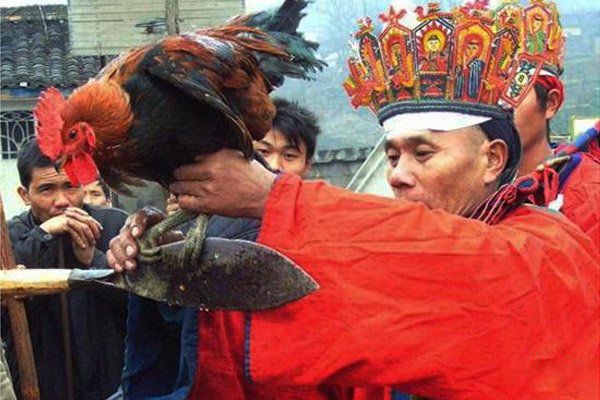 ��������������� ��ʲôԭ����ѧ���Ͳ�����