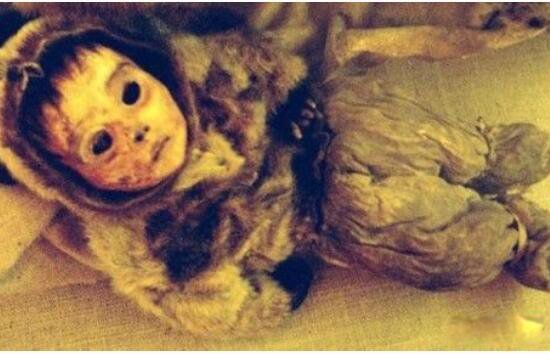 吓人木乃伊的照片大全 最恐怖的木乃伊照片