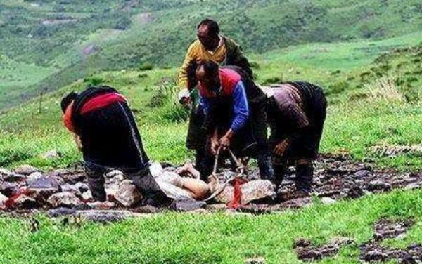 ʲô������ ������ɥ����ʵ��Ƶ��¼Ƭ����