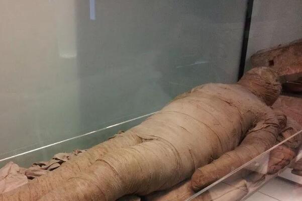 ľ������ʲô ΪʲôҪ�ѻ�������ľ�������к�����