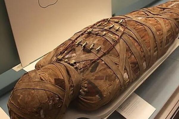 ľ������ʲô ΪʲôҪ�ѻ�������ľ�������к�����