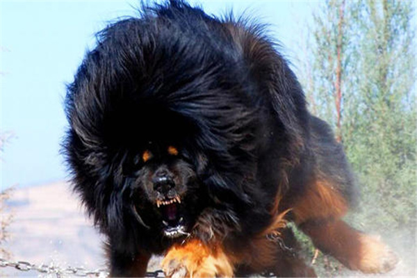 ����vs�ϻ�˭���� ��ʵ��˭˵�����ܴ�ù��ϻ���