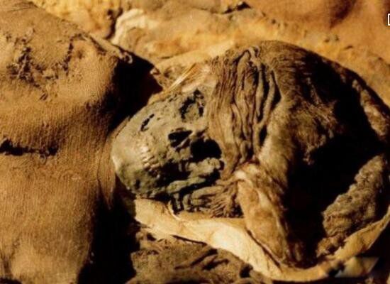 吓人木乃伊的照片大全 最恐怖的木乃伊照片