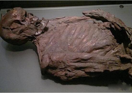 吓人木乃伊的照片大全 最恐怖的木乃伊照片