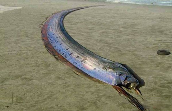 �ʴ�����ж೤ Ϊʲô˵�ʴ����ˮ���е���