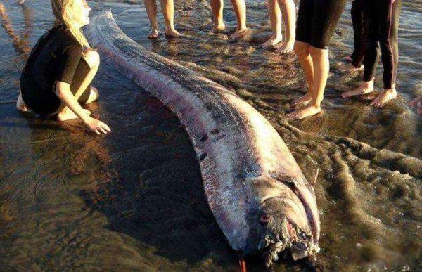 �ʴ�����ж೤ Ϊʲô˵�ʴ����ˮ���е���