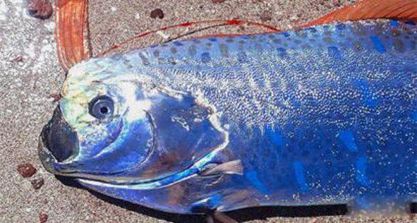 �ʴ�����ж೤ Ϊʲô˵�ʴ����ˮ���е���