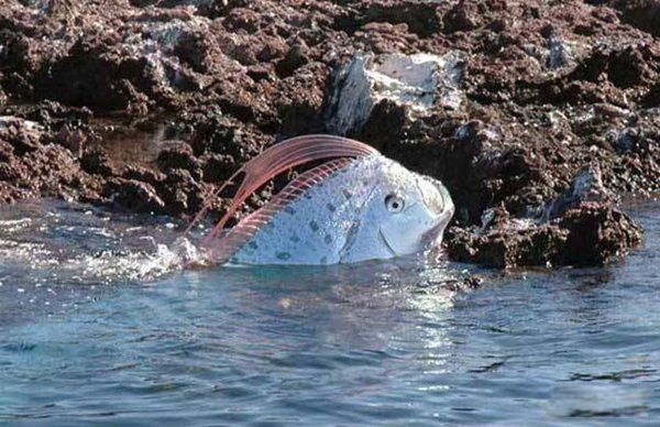 �ʴ�����ж೤ Ϊʲô˵�ʴ����ˮ���е���