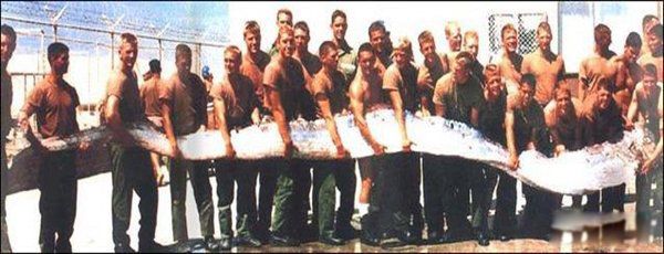 �ʴ�����ж೤ Ϊʲô˵�ʴ����ˮ���е���