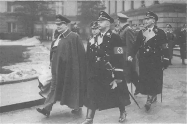 ��ŷ��ѪͳΪʲô�߹� ϣ�������ָ����ƻ���������