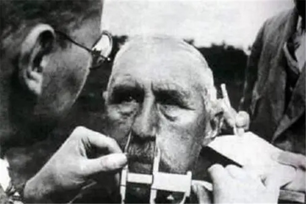 ��ŷ��ѪͳΪʲô�߹� ϣ�������ָ����ƻ���������