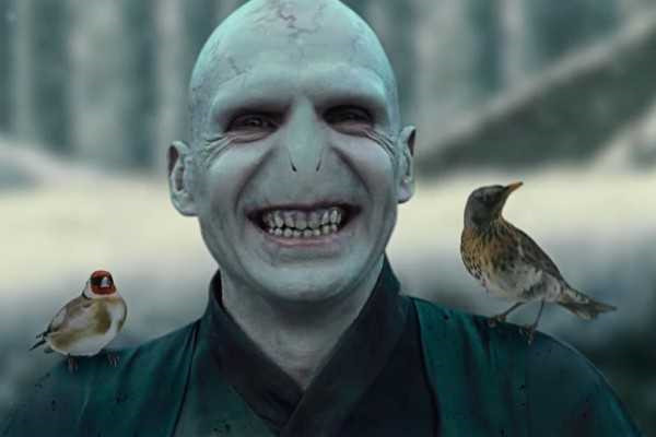 ���������Ƿ���ħ�Ļ��� ����ħ���߸�������ɶ