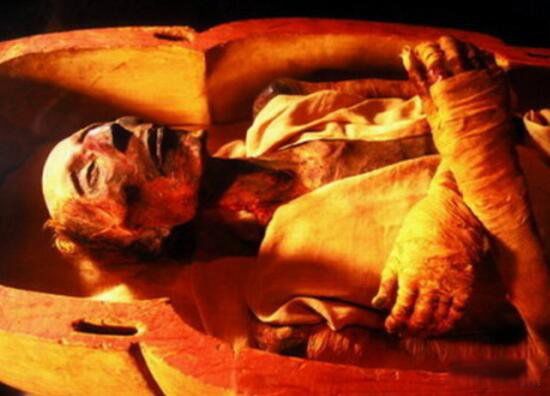 古埃及法老是什么人种 埃及法老和外星人的关系