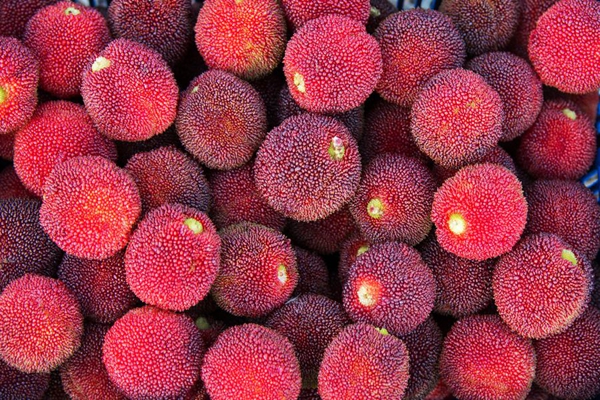 ��÷ֹ�ʵĹ��º͵��������ı��� �������˹���˭