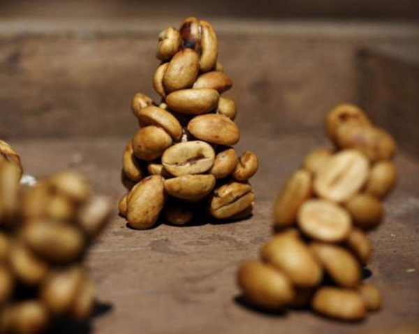 猫屎咖啡是什么猫的排泄物 是怎么来的真的是猫屎吗