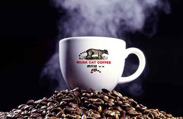 猫屎咖啡是什么猫的排泄物 是怎么来的真的是猫屎吗