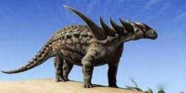 ʳ�ݿ����ĸ������� ��������ʳ�ݿ���ǰʮ����˭