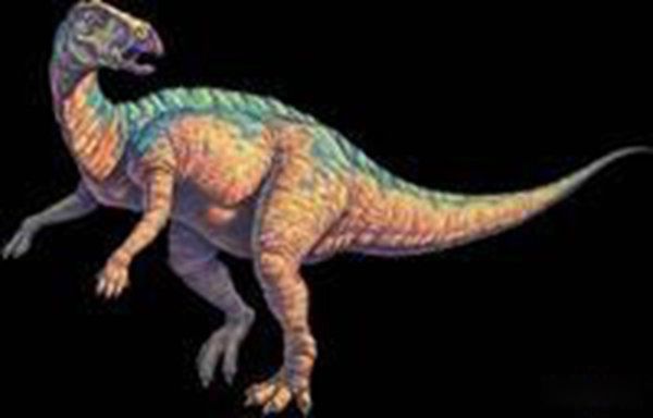 ʳ�ݿ����ĸ������� ��������ʳ�ݿ���ǰʮ����˭