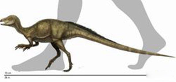 ʳ�ݿ����ĸ������� ��������ʳ�ݿ���ǰʮ����˭