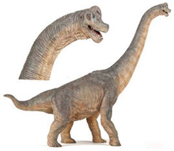 ʳ�ݿ����ĸ������� ��������ʳ�ݿ���ǰʮ����˭