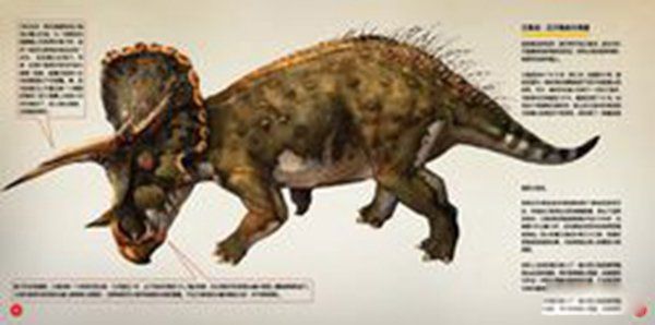 ʳ�ݿ����ĸ������� ��������ʳ�ݿ���ǰʮ����˭