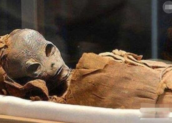 古埃及法老是什么人种 埃及法老和外星人的关系