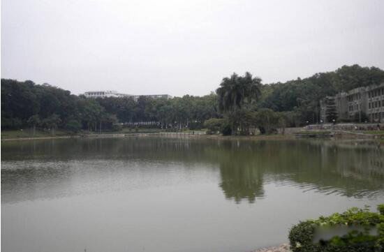 ���ڴ�ѧ���귢����ʲô�¼� ���ڴ�ѧ�����¼���ʵ����