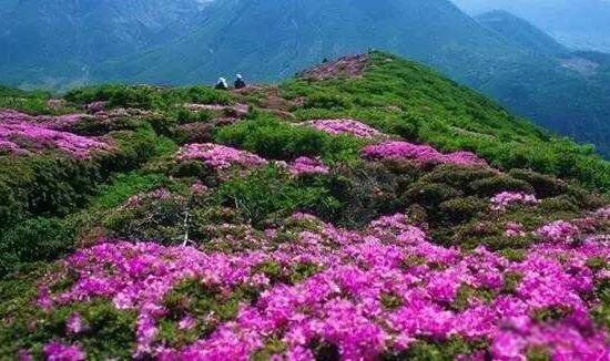 ���ڴ�ѧ���귢����ʲô�¼� ���ڴ�ѧ�����¼���ʵ����