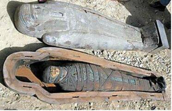 ��������ΪʲôҪ����ľ������������ �Ű�����������������˵