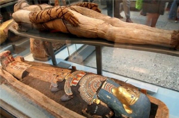 ��������ΪʲôҪ����ľ������������ �Ű�����������������˵