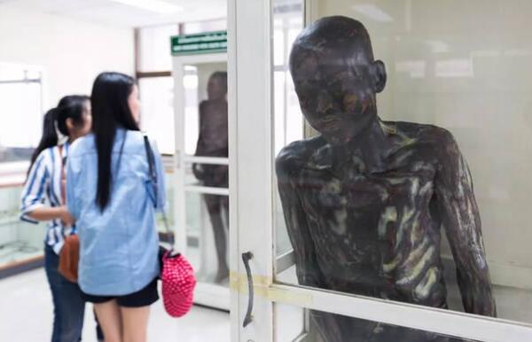 ϸΰ��Ӱ��ʲô �ֲ���ϸΰ��ʬͼƬ��ʵ�¼�ԭ��